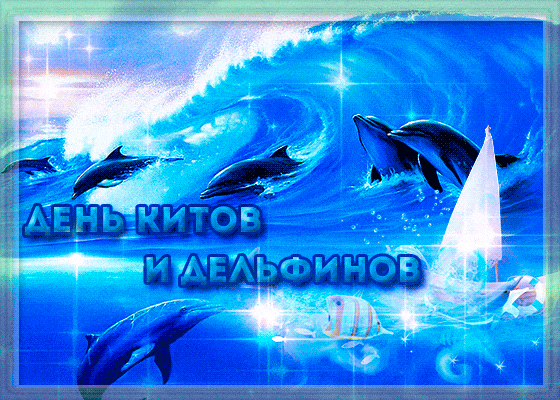 Картинки открытки дельфины на закате. Красивые открытки дельфинов.