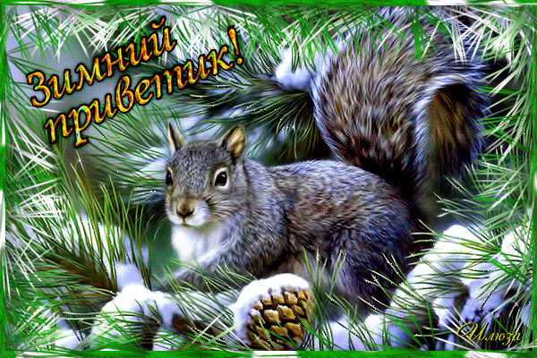 Картинка белочка с орешком. Картинка белочка с грибами. Белочка с корзиной ка...