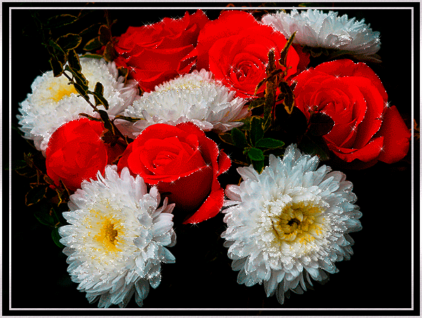 Открытка с астрами. Картинки доброе утро с астрами, картинки с астрами, краси...