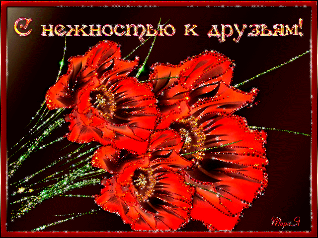 Открытки с анимацией маки в вазе на столе.  Открытка с полем красных маков.