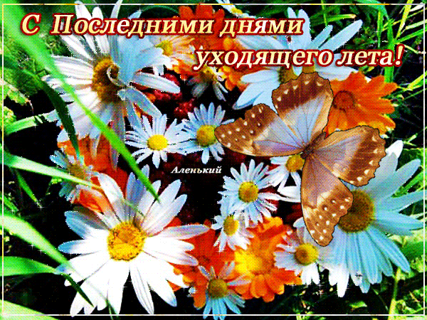 Картинки с последним месяцем лета. Открытки с последним месяцем лета.
