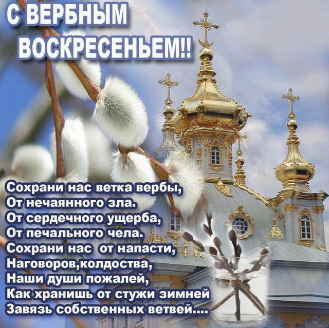  Открытки красивые с вербным воскресеньем. Открытки анимационные с вербным во...