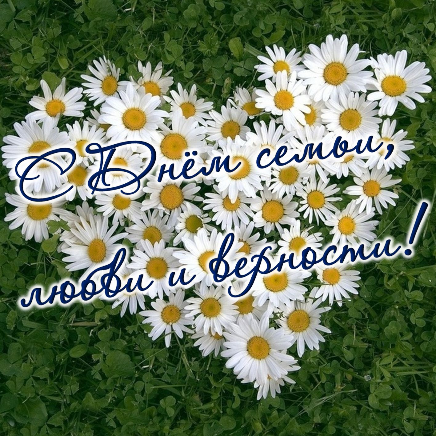 Картинки с ромашками Доброе утро. Картинка с ромашками на день рождения.