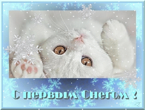 С первым снегом анимационная картинка. С первым снегом приколы. 