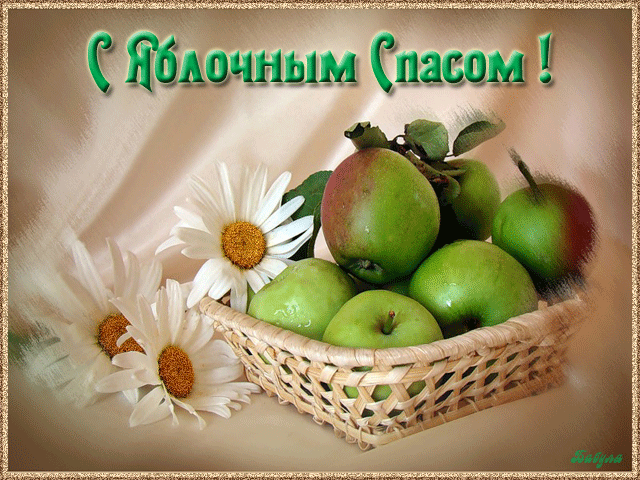 Картинки с яблоками скачать бесплатно. Картинки с яблочным Спасом скачать бес...