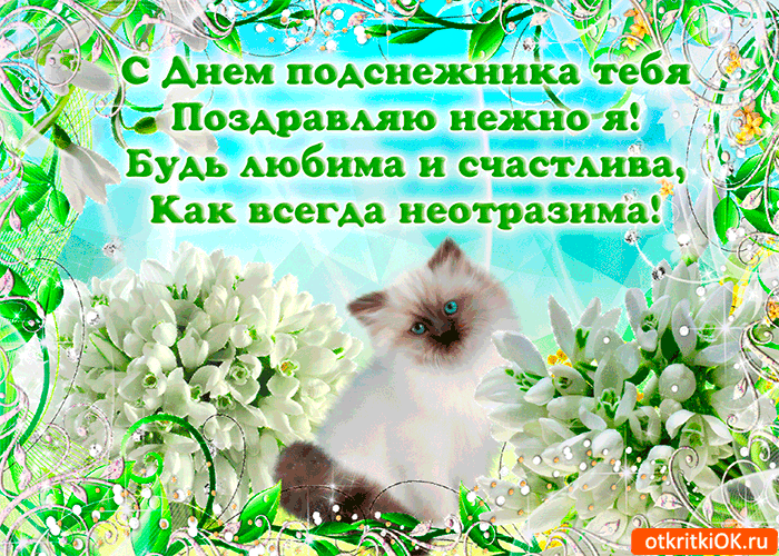 Открытка с днем подснежника. Открытка с днем рождения подснежники.