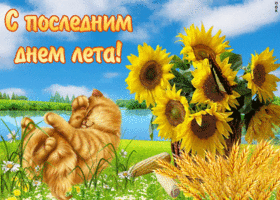 Скачать открытку с последним открытка поздравления с последним днем лета.