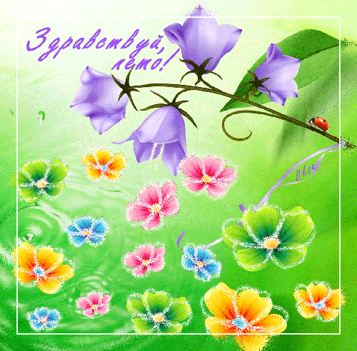 Красивые картинки лето на рабочий стол. Картинки лето 2019. 