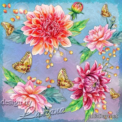 Открытка для тебя георгинами на чёрном фоне. Открытка с красным георгином.