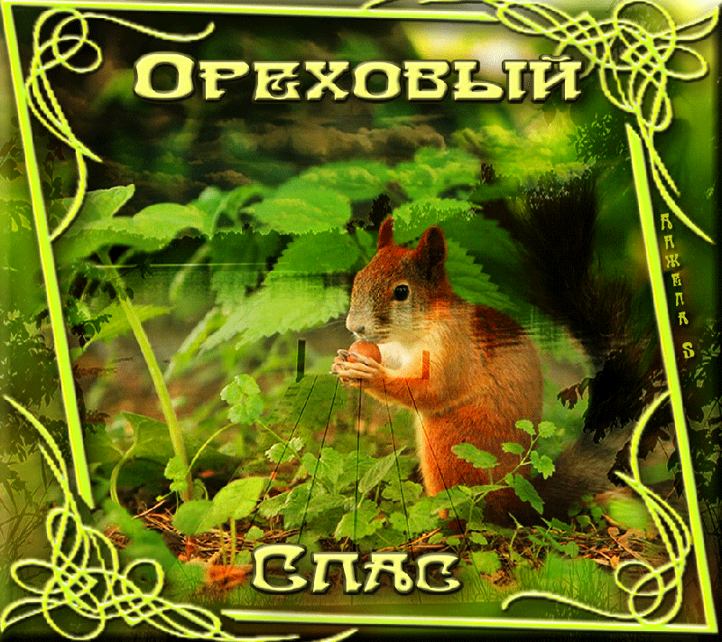 Открытки GIF с ореховым Спасом. Открытки С праздником ореховым Спасом.