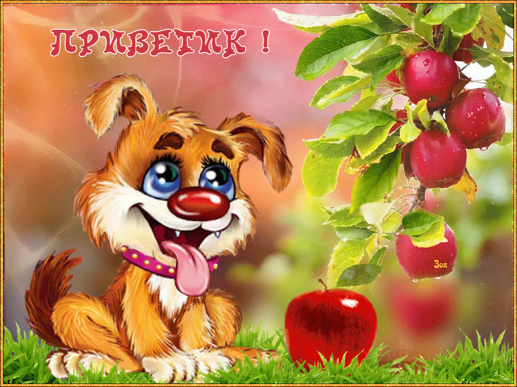 Открытки вам привет. Прикольные открытки друзьям привет. Привет картинки бесп...