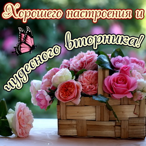 Открытка на вторник с кружечкой кофе. Открытка Удачного вторника.