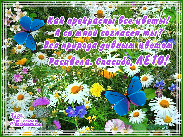 Открытки с приколами про лето. Открытки про лето прикольные.