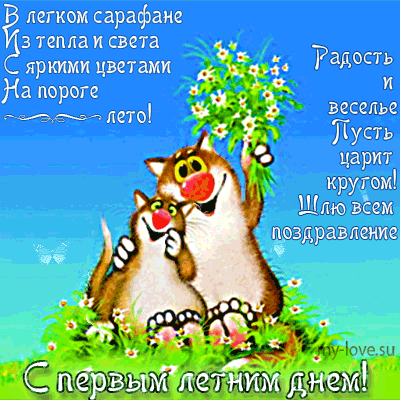 Открытка с котом и букетом цветов С первым днем лето! 