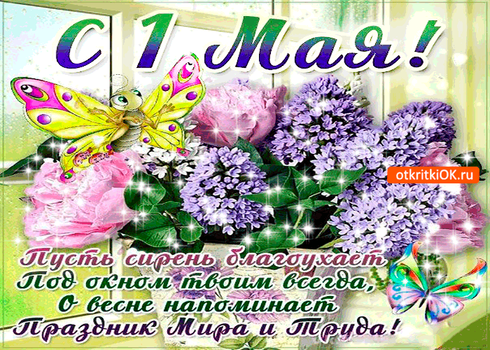 Картинки с сиренью скачать картинки с сиренью цветы. Картинки корзина с сирен...