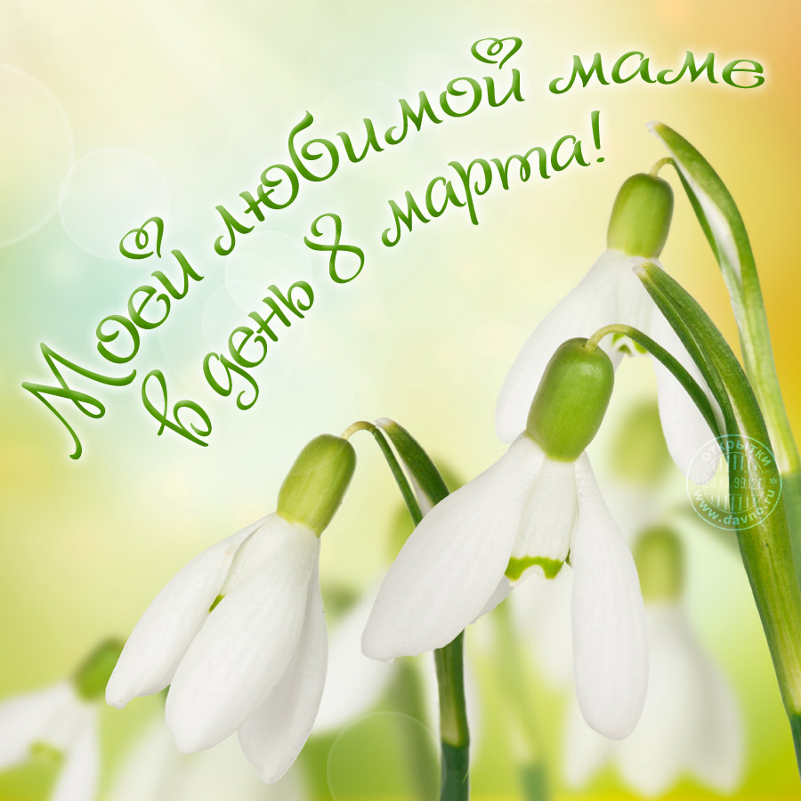 С праздником! 8 марта. Открытка с мягкими игрушками. Открытка с цветными тюль...