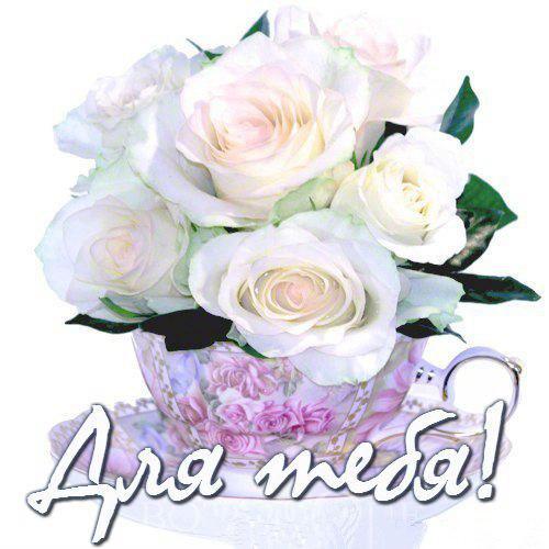 Шикарные Белые розы фото. Белые розы фото букет. Фото Белые розы в вазе.