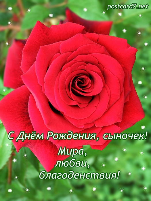 Открытки С днём рождения сына 16 лет. Открытки С днём рождения сына родителям.