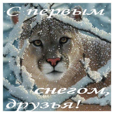Открытка С первым снегом скачать. Открытка С первым снегом бесплатно.
