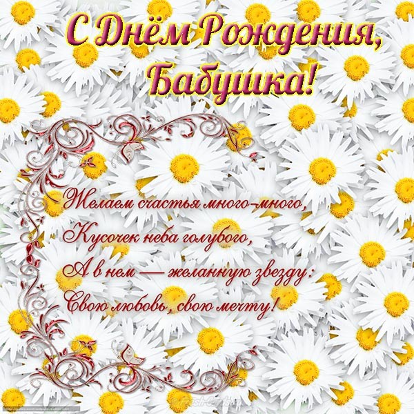 Открытка Зайчик с ромашками. Открытка с ромашками на день рождения.