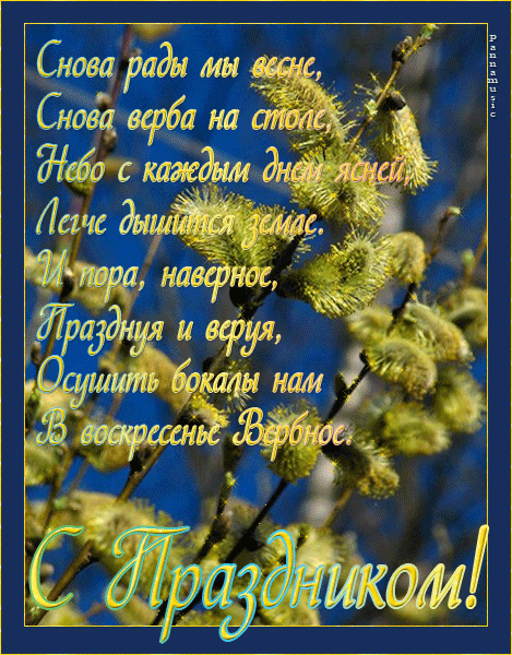 Открытка по твоей страничке вербочкой стучу крепкого здоровья для тебя хочу, ...