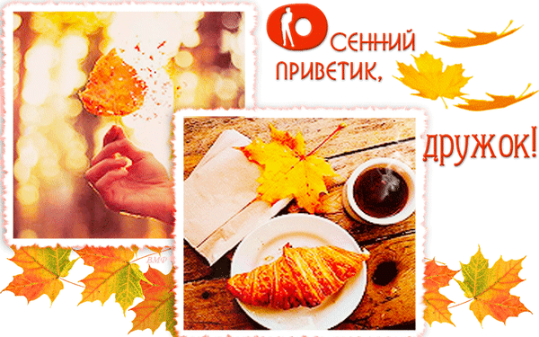 Прикольные картинки осенний Привет. Красивые картинки осенний Привет. 