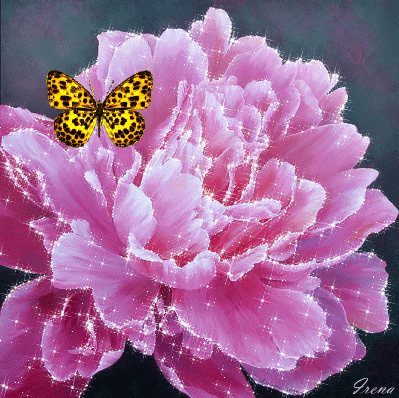 Открытка с днём рождения с розовыми пионами. Открытка с ярко малиновые пионам...