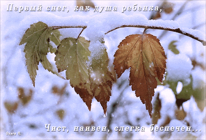 Красивые картинки Первый снег, с первым снегом приколы. Картинки со снегом кр...