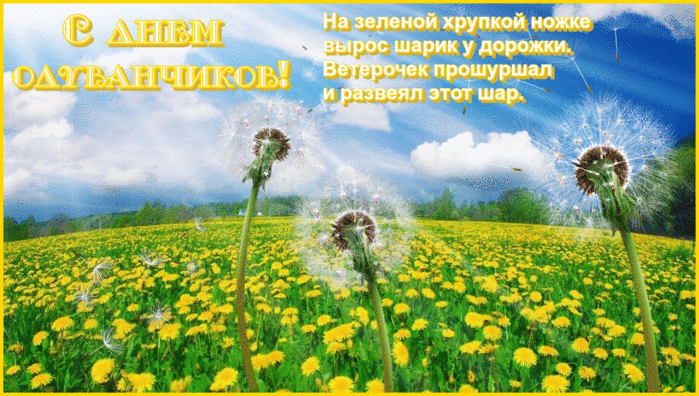 Открытка с анимацией желтые белые одуванчики у реки. Открытка с анимацией кот...