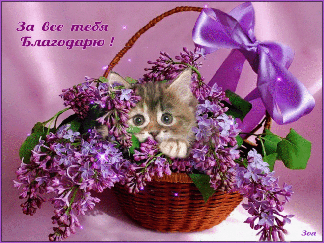 Открытки чудесного весеннего настроения с цветами сирени.   