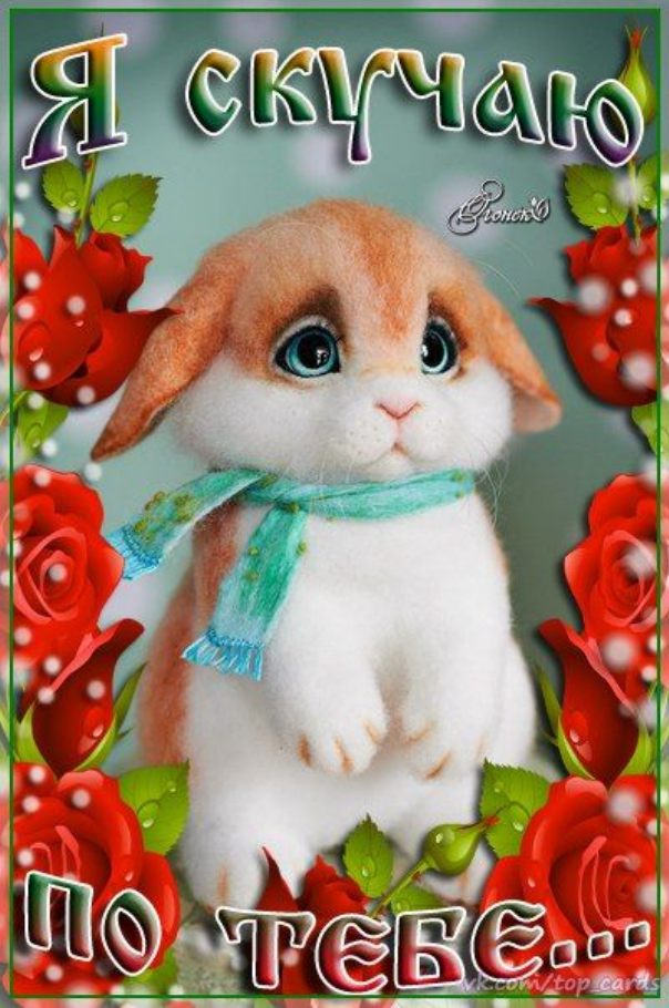 Картинки я скучаю. Картинки я скучаю по тебе. Картинки я скучаю по тебе родной.