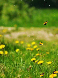 Открытки ретро ко дню рождения воробей с одуванчиком и земляникой. Открытка р...