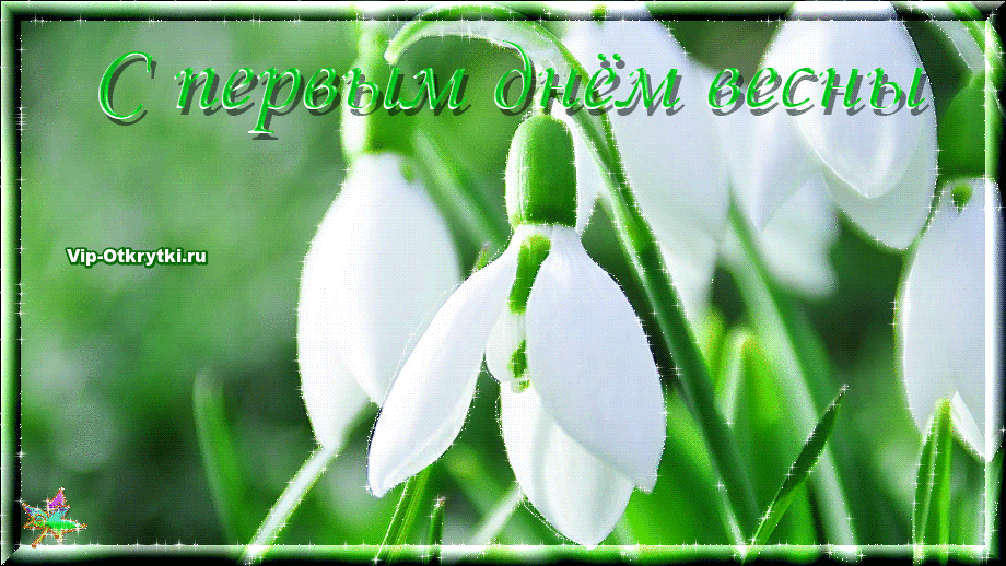 Открытка поздравление С первым днем весны. Открытка анимация С первым днем ве...
