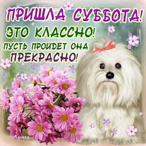 Открытка приятной субботы! Открытка чудесного субботнего денечка!