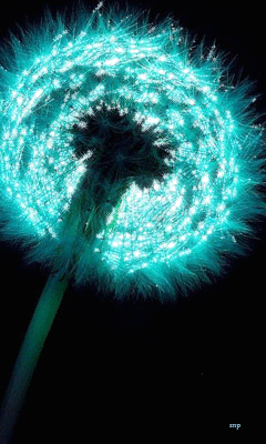 Открытка мерцающая с одуванчиками белыми в стеклянной вазе. 