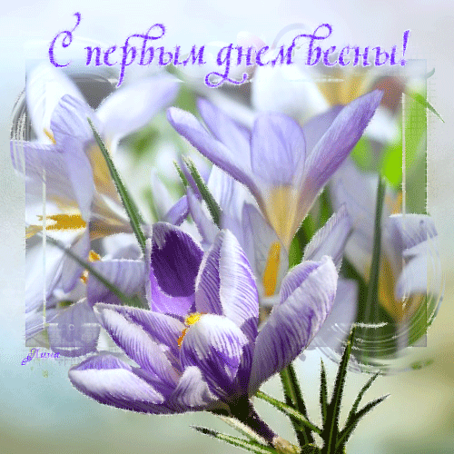 Открытка С первым днем весны 1 марта. Красивая открытка С первым днем весны.