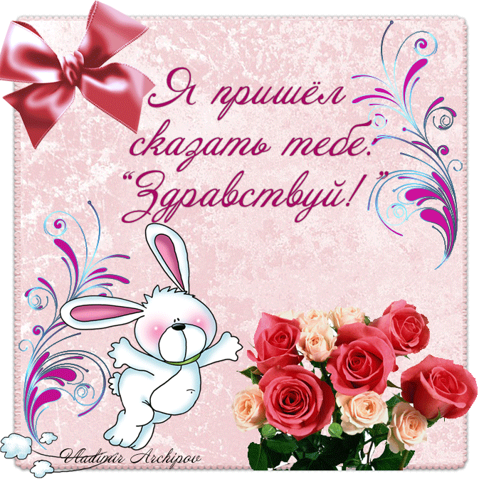 Открытка с белой кошкой Привет Как как открытка медвежонок в Малине Привет ма...