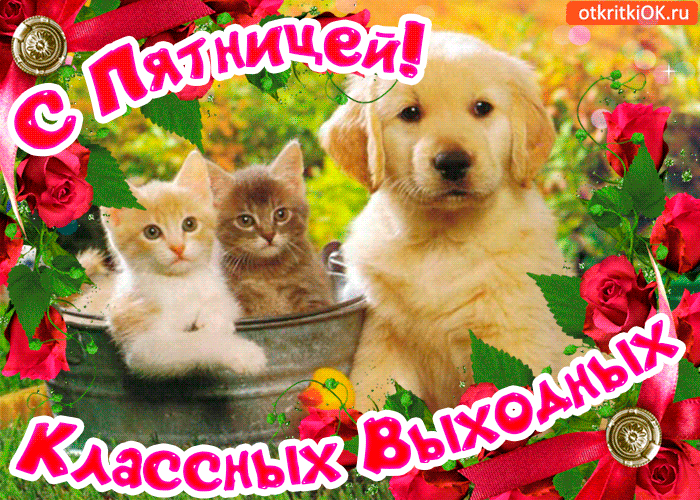 С пятницей Хороших выходных. Открытки гиф С пятницей. Настроение пятница GIF.