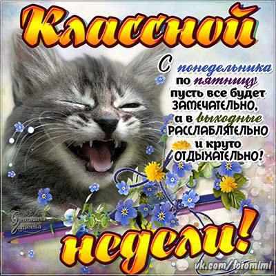 Удачной недели анимация. картинки хорошей рабочей недели. Картинки со стихами...