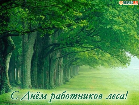 Открытки работников леса. Бесплатные открытки С днём работников леса.
