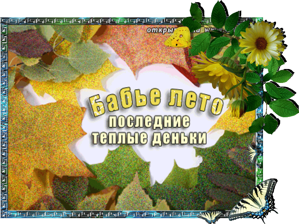 Открытки Картинки Бабье лето прикольные. Картинки смешные про бабье лето. Картинка Бабье лето. Смешная картинка бабье лето. Открытка Бабье лето как подарок. Открытка наступает бабье лето! Открытка Здравствуй бабье лето открытка со стихами к бабьему лету.