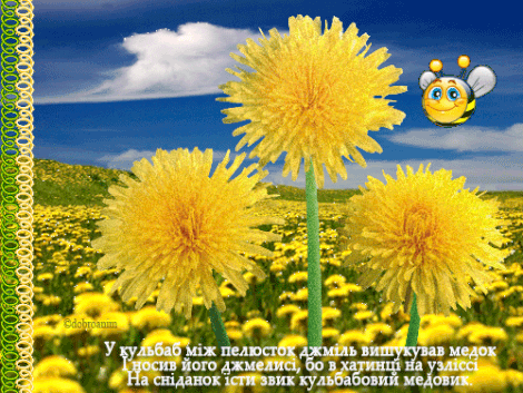 Открытка с анимацией желтые белые одуванчики у реки. Открытка с анимацией кот...