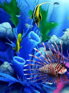 Удивительный подводный мир открытки. Подводный мир картинки открытки для детей.