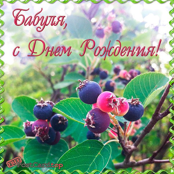 Открытки С днём рождения с ягодами. открытка с днём рождения с ягодами. 