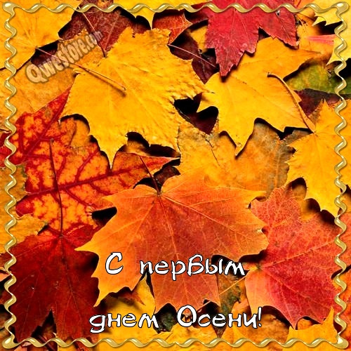 Открытки на праздник осени.  Открытки на каждый праздник.   