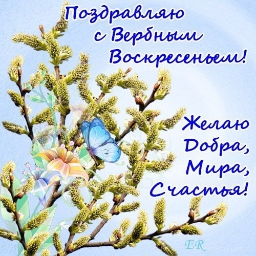 Картинки открытки с вербным воскресеньем. Картинки анимашки с вербным воскрес...