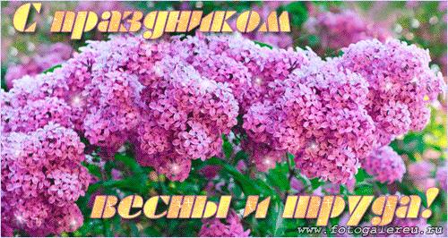 Открытка чтоб смех твой слышался всегда, цветов, улыбок, солнца и тепла! 