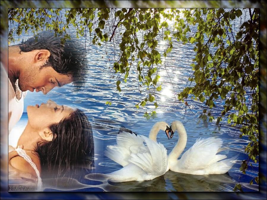 Открытки с Днём свадьбы лебеди. Открытка С Днём рождения С лебедями.