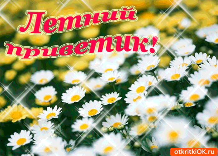 Картинки Спасибо с ромашками. Картинки поле с ромашками. Картинки с 8 мартом ...