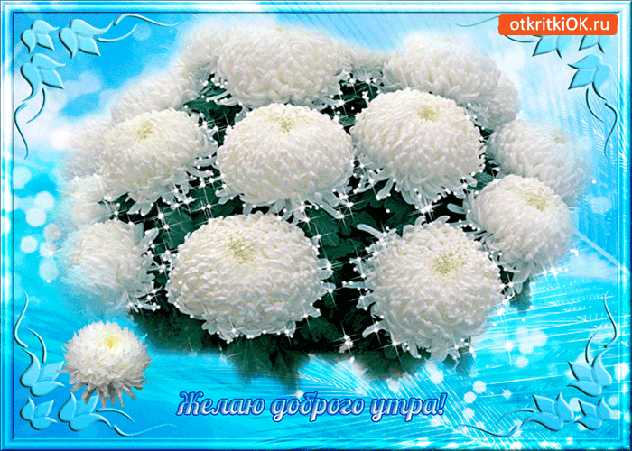 Открытки мерцающие бабочка с астрой. Открытки с букетом остров ко дню рождения.